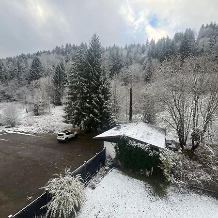 Studio Chalet Cosy 热拉梅 外观 照片